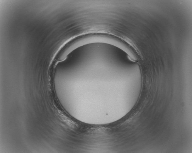 X0000064060926200602171733