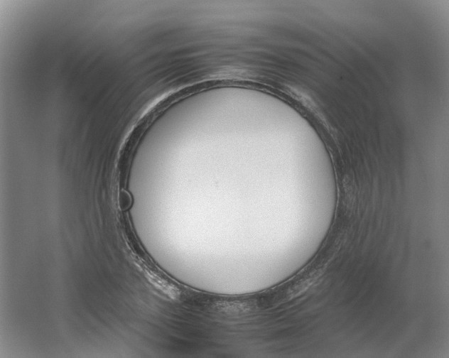 X0000064060931200602171733