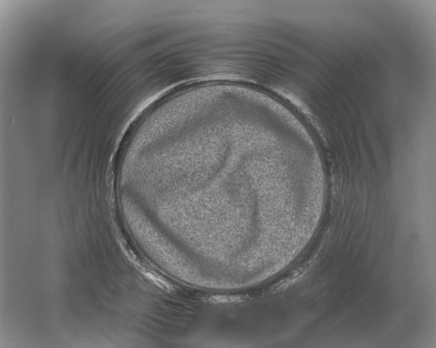 X0000064060933200602171733