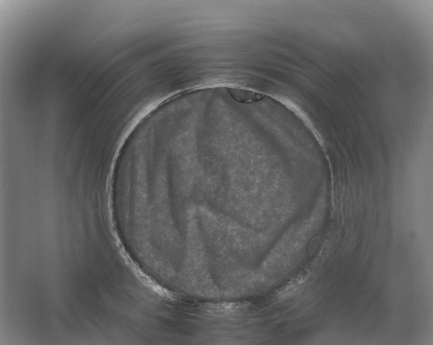 X0000064060949200602171733