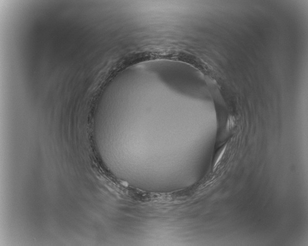 X0000064060961200602171732