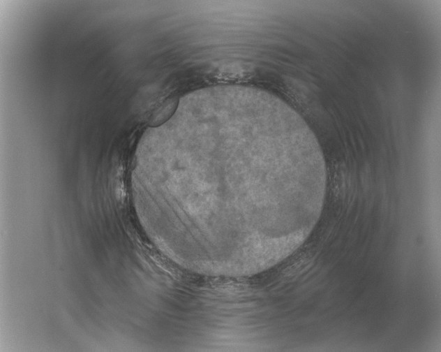 X0000064060962200602171732