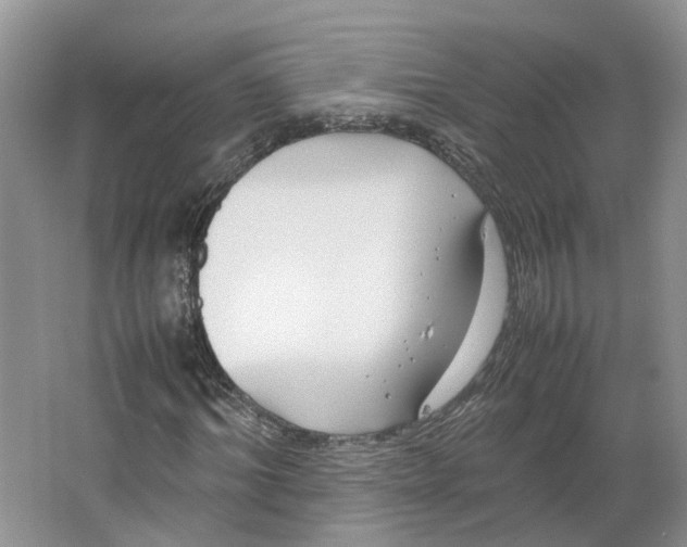X0000064060964200602171732