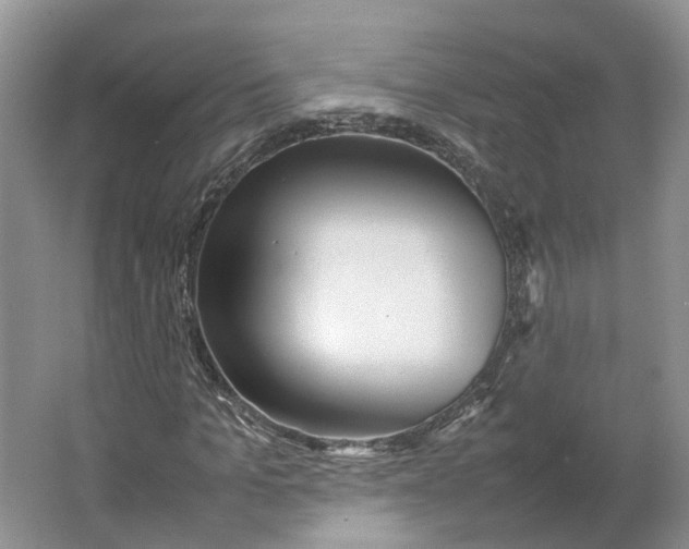 X0000064060965200602171732