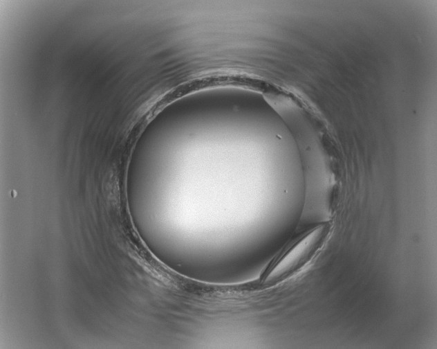 X0000064060969200602171732
