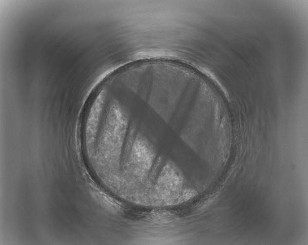 X0000064060983200602171732