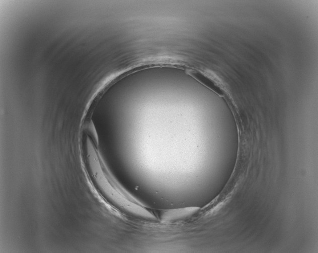 X0000064060989200602171732