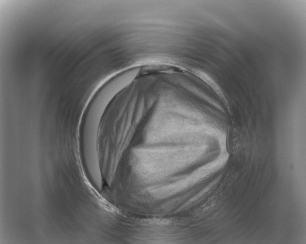 X0000064060996200602171732