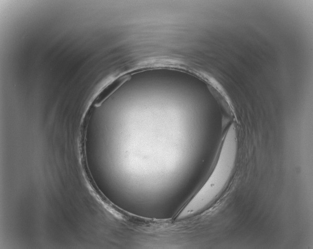 X0000064060997200602171732