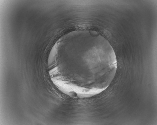 X0000064061009200602171731