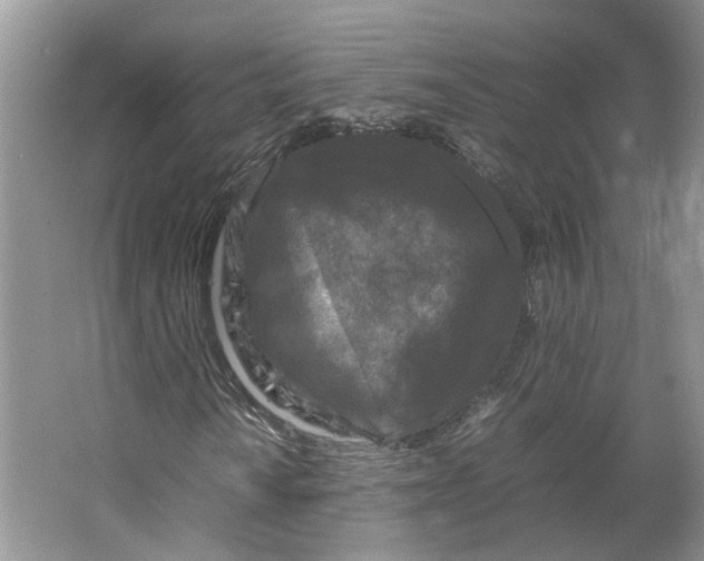 X0000064061010200602171731