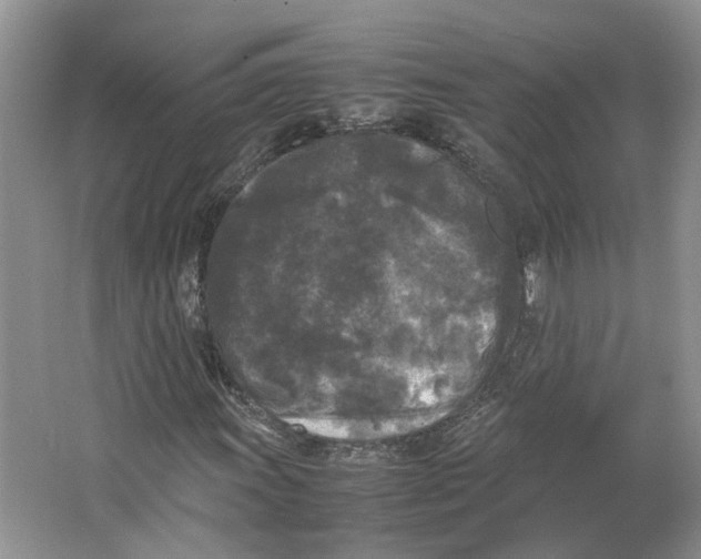X0000064061011200602171731
