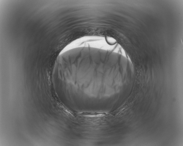 X0000064061013200602171731