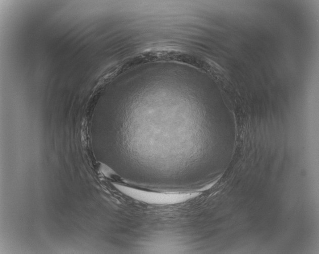 X0000064061014200602171731