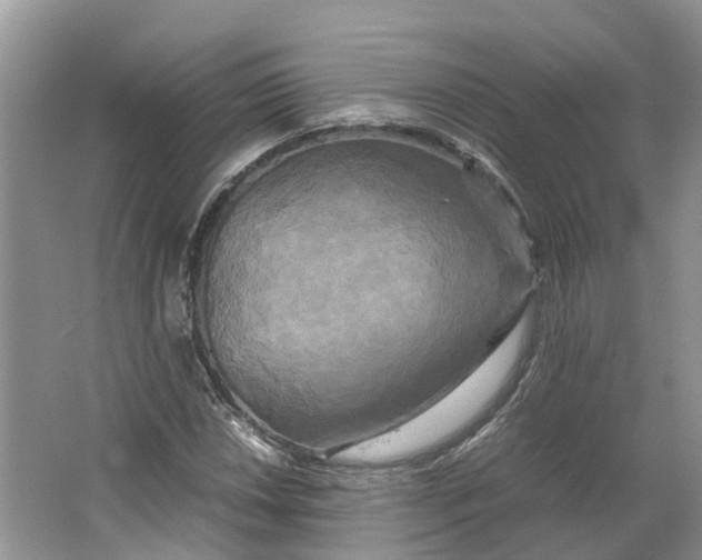 X0000064061018200602171731