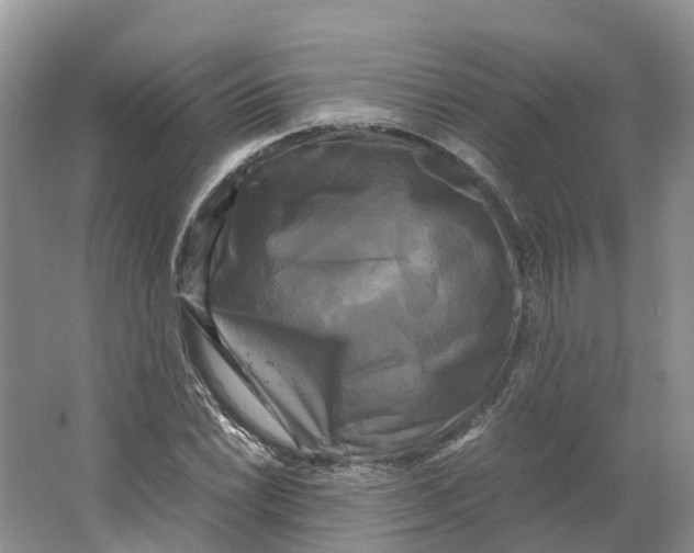 X0000064061022200602171731