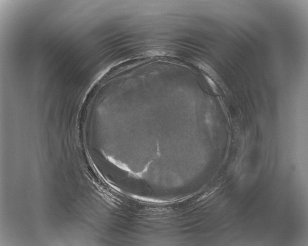 X0000064061023200602171731