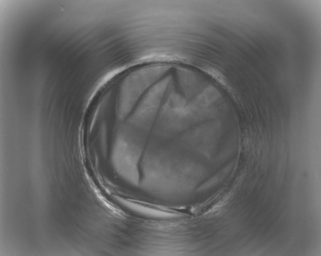 X0000064061030200602171731