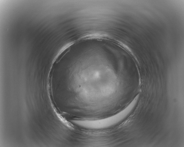 X0000064061042200602171731