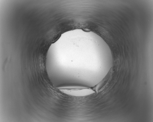 X0000064061058200602171731