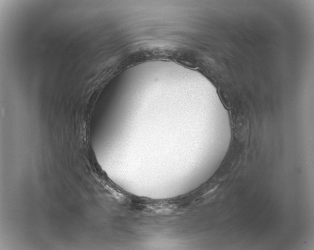 X0000064061061200602171731