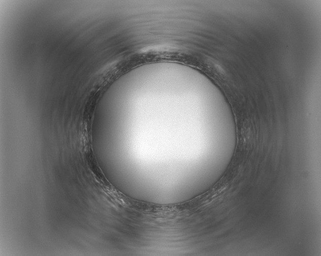 X0000064061062200602171731