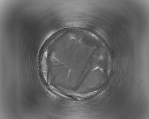 X0000064061071200602171731