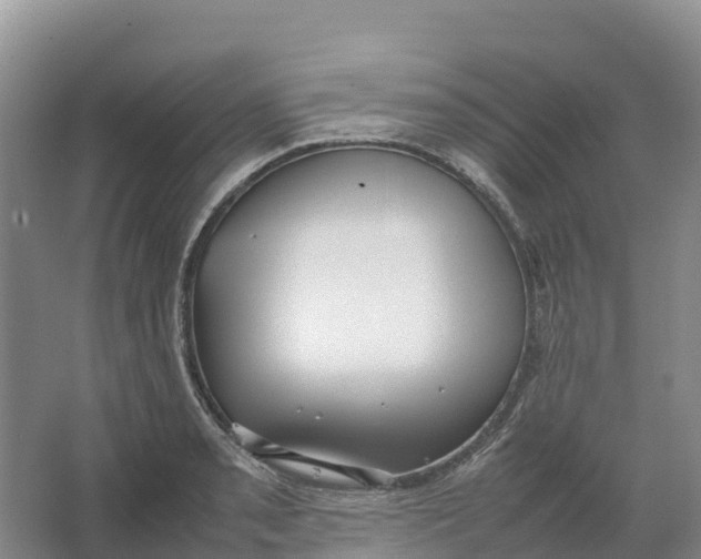 X0000064061085200602171730