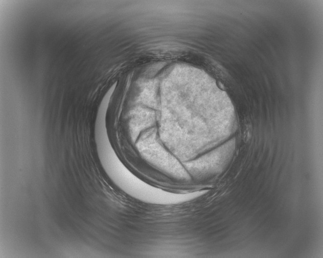 X0000064061108200602171729