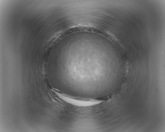 X0000064061110200602171729