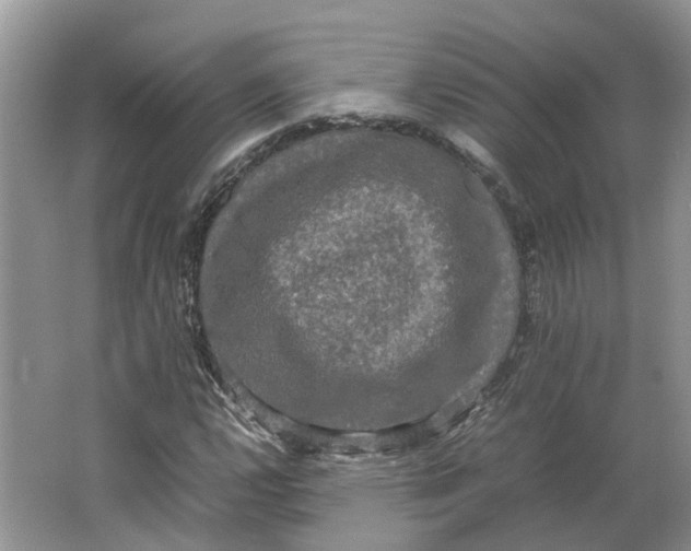 X0000064061112200602171729