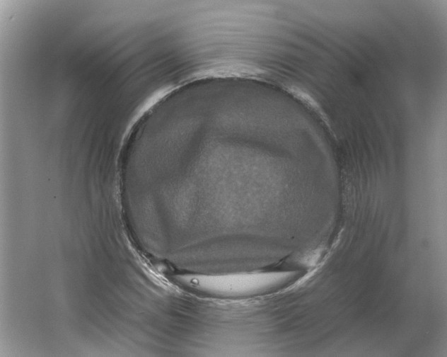 X0000064061114200602171729