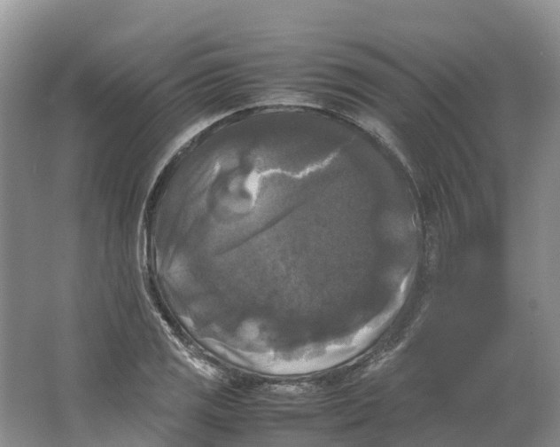 X0000064061125200602171730