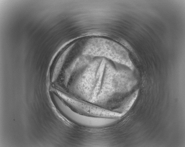 X0000064061132200602171730