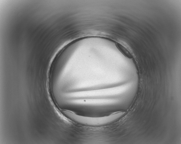 X0000064061136200602171730