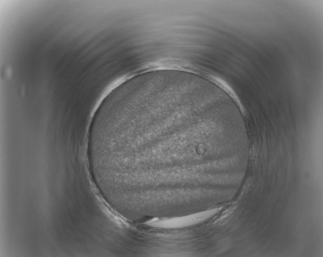 X0000064061146200602171730