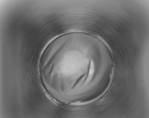 X0000064061148200602171730