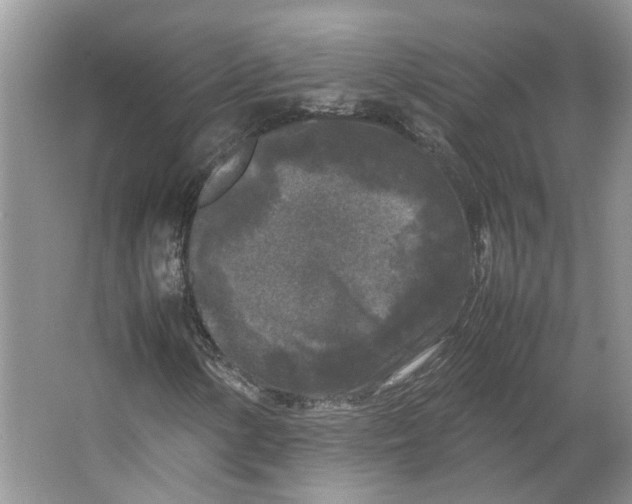 X0000064061154200602171729