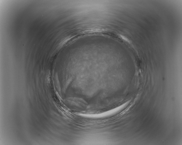 X0000064061161200602171729