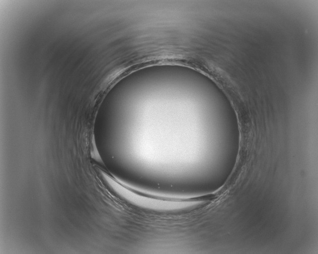 X0000064061169200602171729