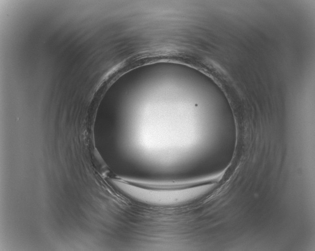 X0000064061210200602171728