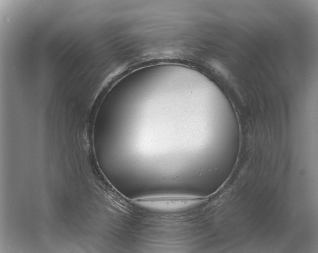 X0000064061218200602171728