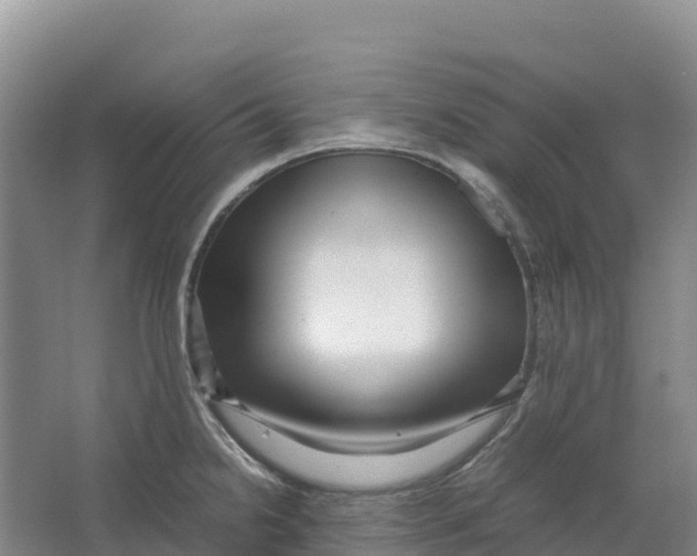X0000064061238200602171728