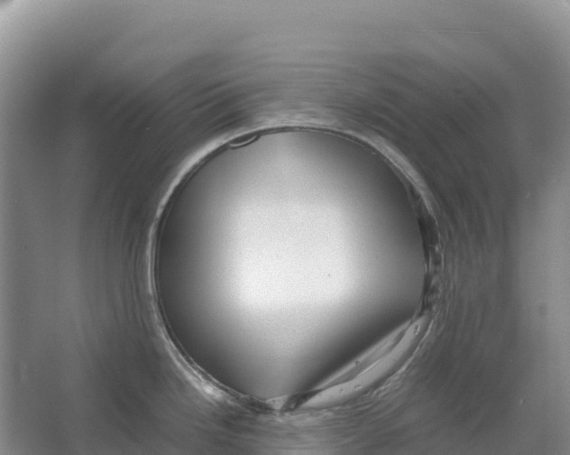 X0000064061246200602171728