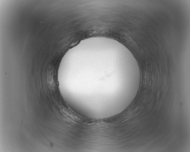 X0000064061250200602171728