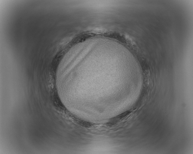X0000064061253200602171727