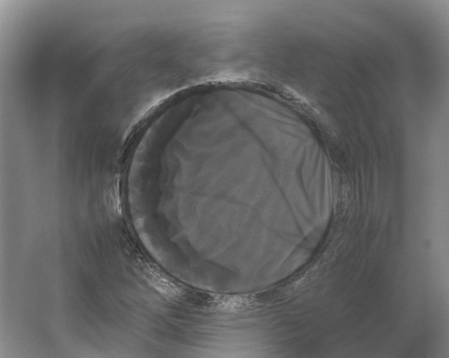 X0000064061262200602171727