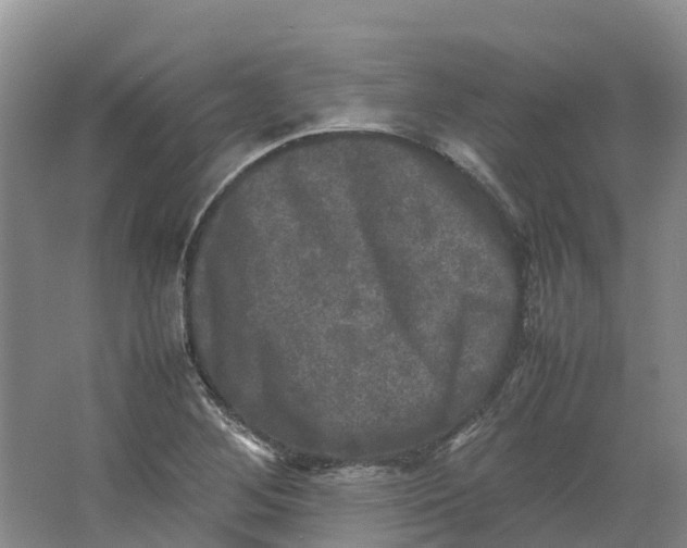 X0000064061268200602171727