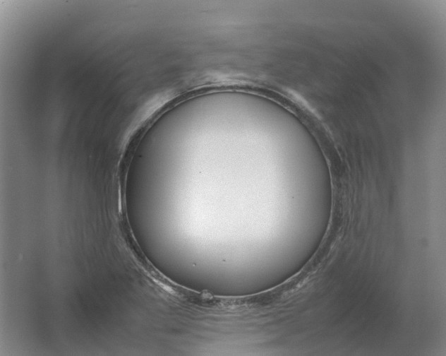 X0000064061269200602171727
