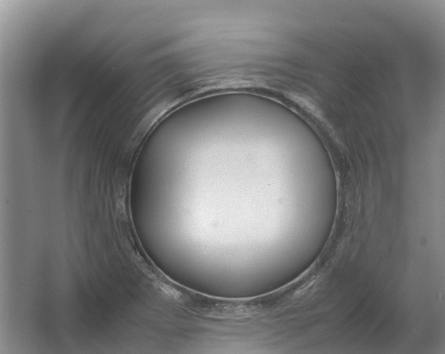 X0000064061273200602171727
